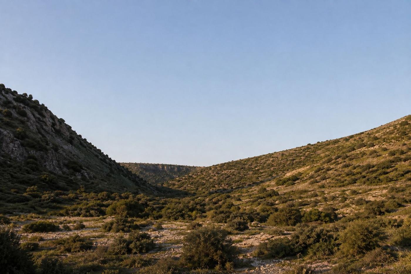 Terreno